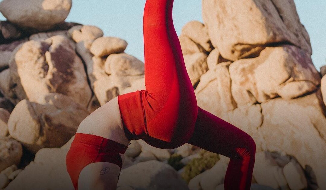 Yoga e Bem-Estar: Hatha-Yoga para uma Vida Equilibrada