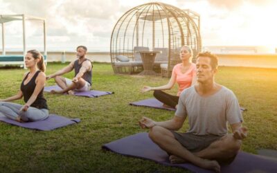 Yoga para o Coração: Hatha-Yoga para Equilibrar as Emoções – Dicas Práticas
